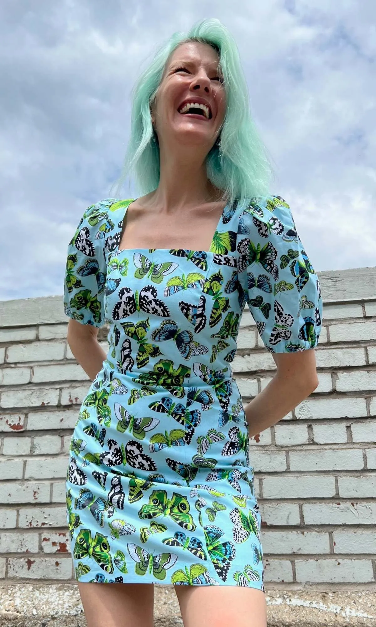 Chickadee Dress - Butterflies